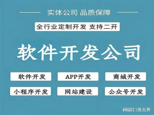 北京軟件開發(fā)公司開發(fā)能力綜合評估 技術(shù)實力與創(chuàng)新實踐